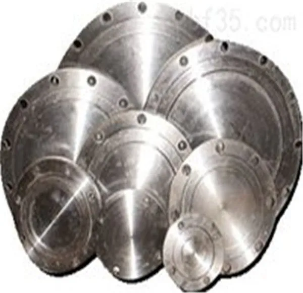 Astm A182 F316/316l/316h For V Band Clamps Plate Steel Flange photo-2