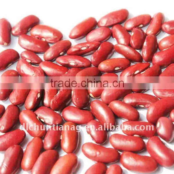 Orignic Red Kidney Beans