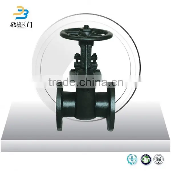 What Is Gate Valve Body 300Lb photo-2