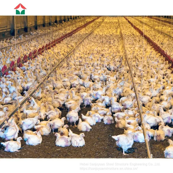 Poultry Farm Design With Bird Cage for Layers photo-2