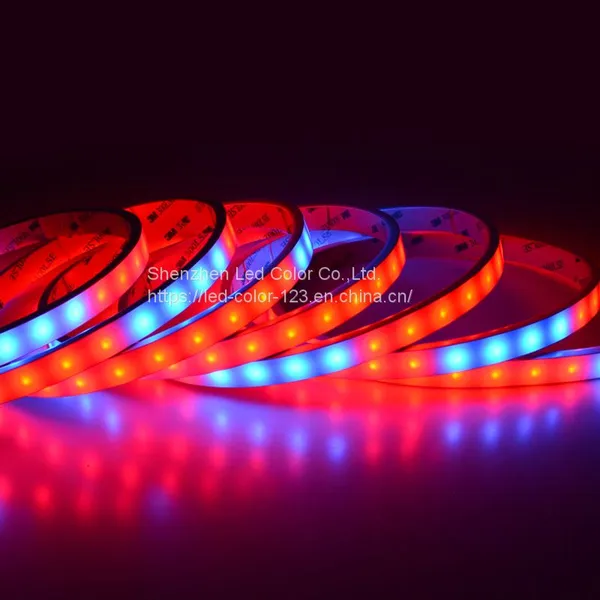5*13mm Silicone Tube WS2815 LED Strip IC Build-in 6 Pin Coloful Flex Digital Neon Led Strip Outdoor IP65 Led Strip Light photo-5