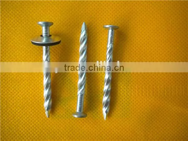 Top Selling Galvanized Twisted Nails China Manufacturer photo-6