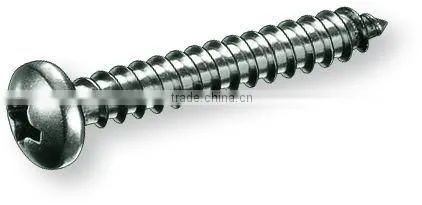 Stainless Steel Self Tapping Screws DIN7981