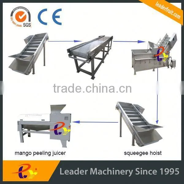 Leader Excellent Performance Mango Peeling and Pulping Machine for Juice photo-3