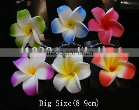 Hawaiian Foam Flower