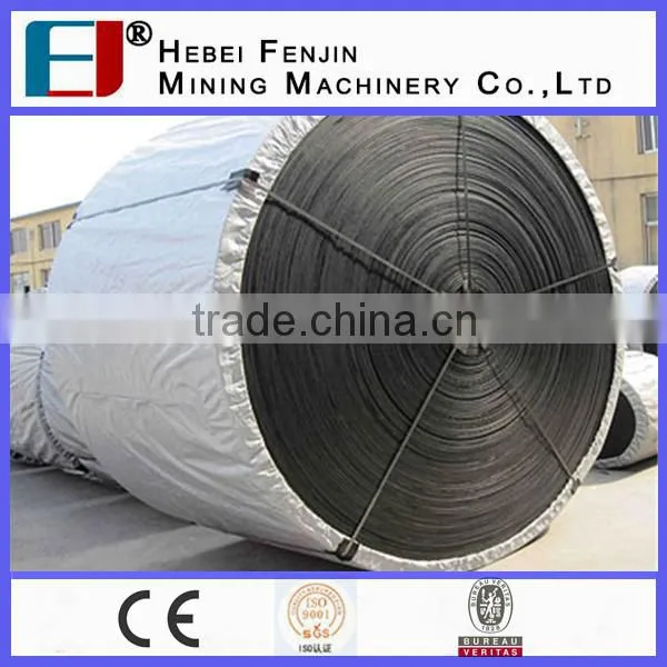 Polyester Conveyor Belt