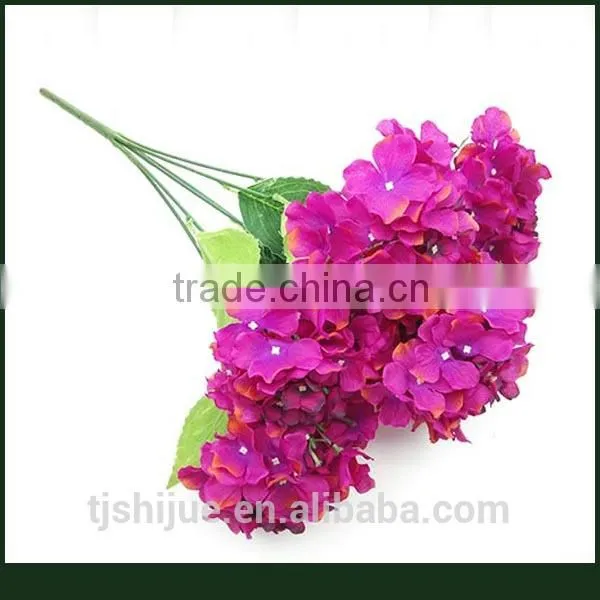 Wholesale Wedding Flowers Blue Hydrangeas Palnts photo-5