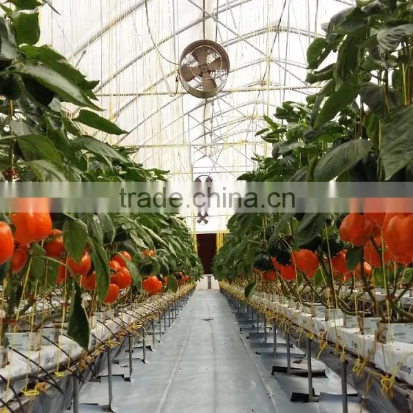 Agricultural Machinery, Temperature Sensor and Drip Irrigation for Greenhouse photo-2