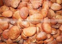 Karanja Seeds