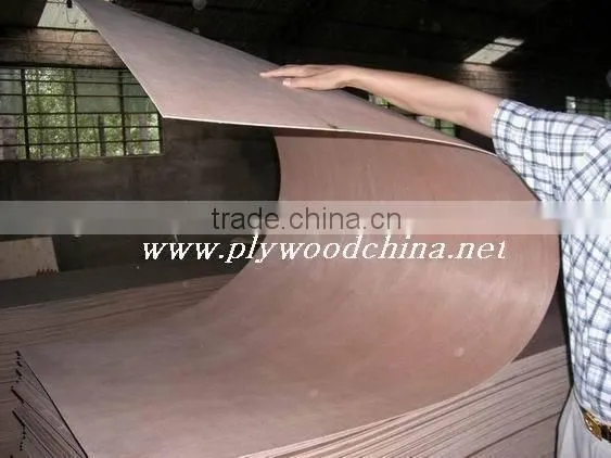 4.5mm C.D Grade Plywood for Philippine Market photo-5