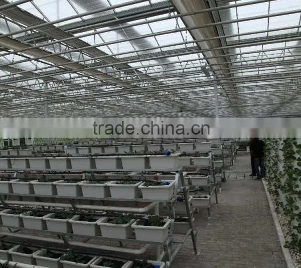 Polycarbonate Sheet Greenhouse photo-4
