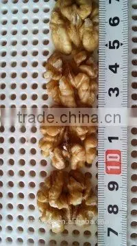 New Crop Best Price Chinese Walnut Kernel Light Halves photo-5