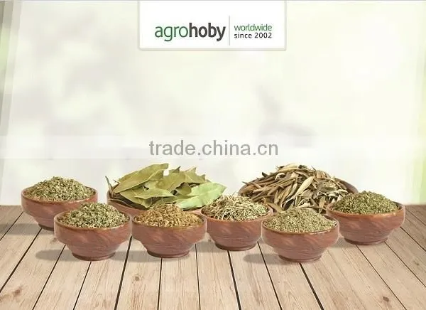 Turkish Rosemary Best Quality photo-2