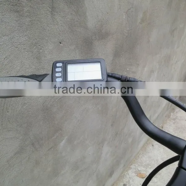 Bafang Powerful With Hidden Lithium Battery 36V 350W Hub Motor Cheap Electric Bike (HJ-14C18 ) photo-2