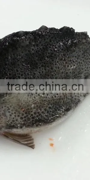 Lumpfish Cyclopterus Lumpus WR