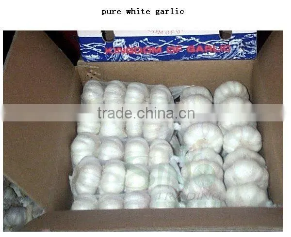 20kg Mesh Bag Garlic Price photo-4