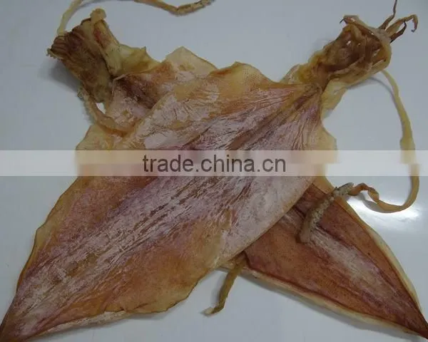 DRIED SQUID