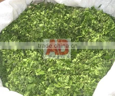 Organic Moringa Seeds/ Moringa Tea Cut Leaves/ Moringa Powder photo-2