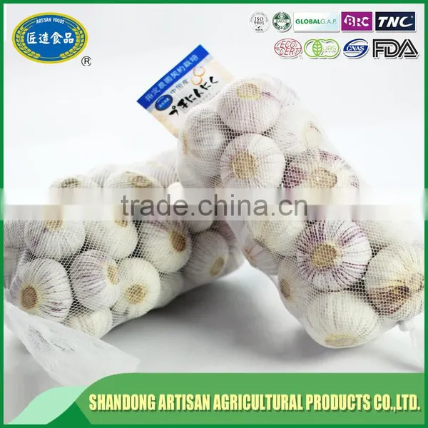 Low Price New Crop Solo Garlic for Wholesales photo-4