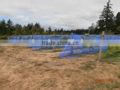 Anti Bird Net for Farming photo-5