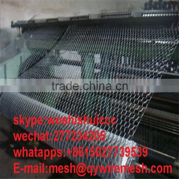 Cheap Window Screen One Way Fiberglass Window Screen Fiberglass Mosquito Netting in Roll photo-5