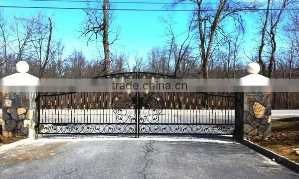 Custom Height and Colors Iron Gate Designs photo-2