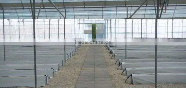 BK Trough Hydroponics photo-2