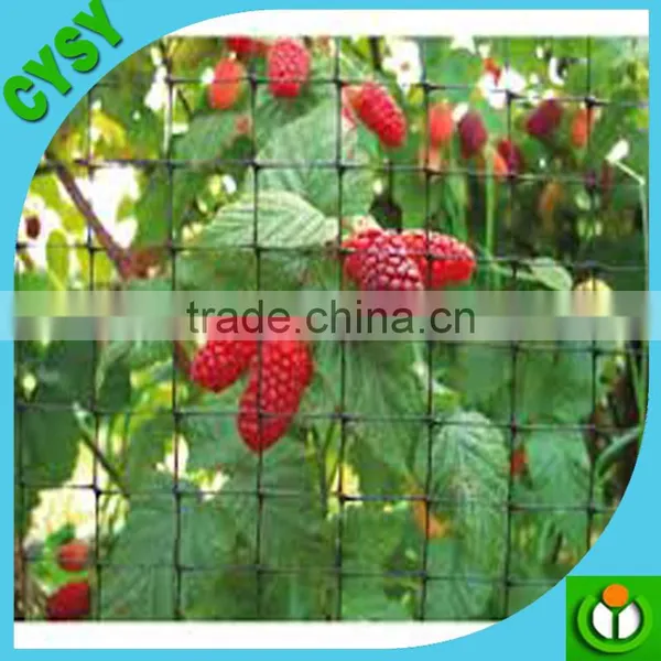 Virgin HDPE Plastic Bird Wire Mesh/fruits Cover Anti Bird Netting photo-2