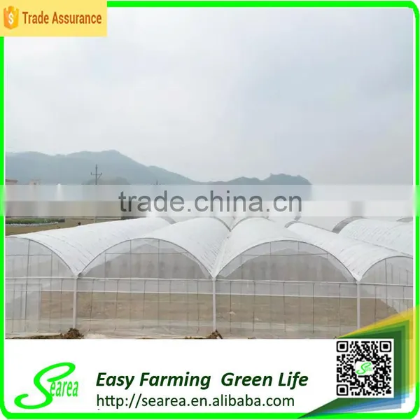Multispan Tunnel Greenhouse for Flower photo-3