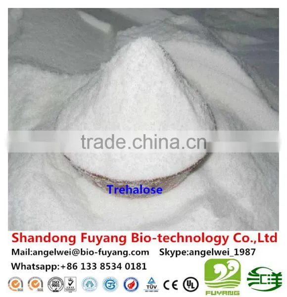 The Biggest Factory in China for Trehalose photo-5
