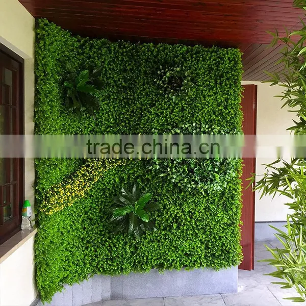 Ornamental Plants Wall photo-3