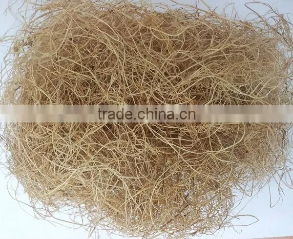 Oil Palm Fiber photo-2