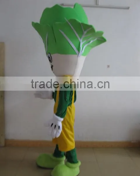 EVA Plush Material Vegetable Mascot Costume Vegetable Mascot for Adult photo-2