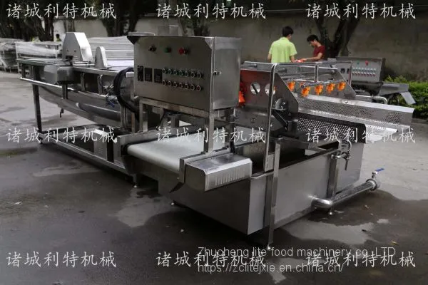 Clean Vegetable Water Washing Machine Clean Vegetable Eddy Current Cleaning Line Clean Vegetable Processing Equipment photo-4