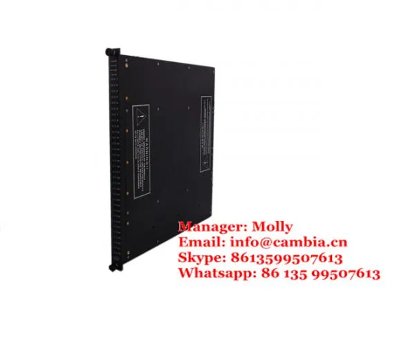 Triconex 9662-110