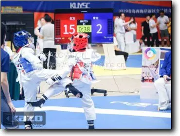 Electronic Protective Equipment for Combat Competitions photo-4