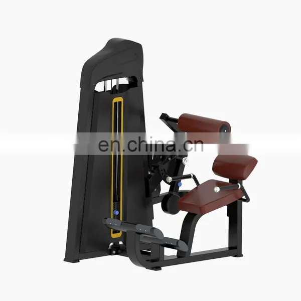 Leg Press-Back Commercial Gym Equipment