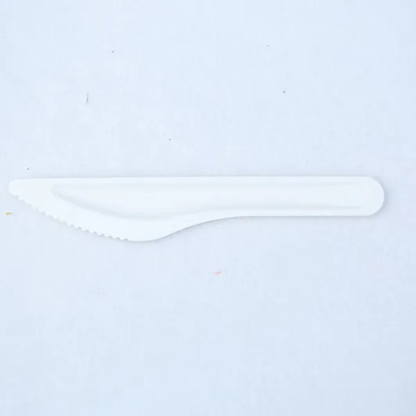 100% Bagasse Dinner Knife Sugarcane Biodegradable Tableware Disposable Bagasse Knife Serving Knife photo-4