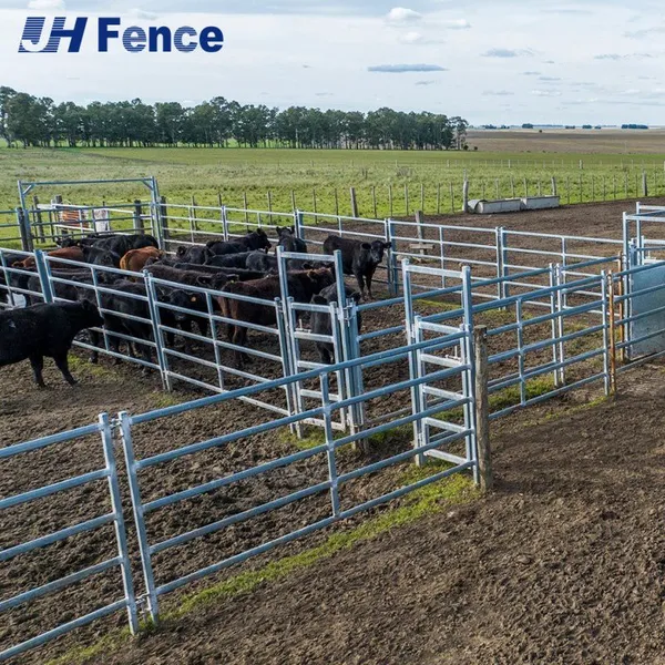 Australia Standard Galvanized Corral Fence Panels for Cattle and Livestock photo-5