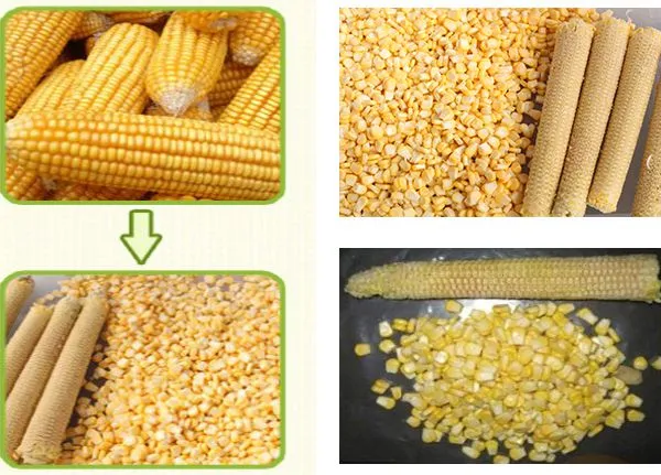 Maize Thresher Sweet Corn Threshing Machine Fresh Corn Sheller photo-6