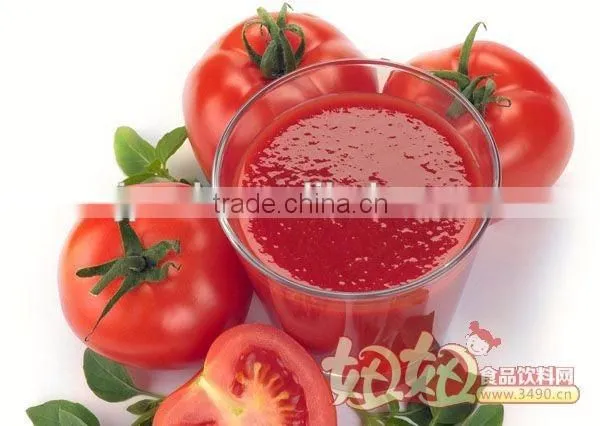Liquid Detergent Doypack Spout Pouch Filling Packing Machine/Jelly/Milk Pouch Capping Machine photo-5