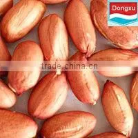 Organic Peanut Kernels
