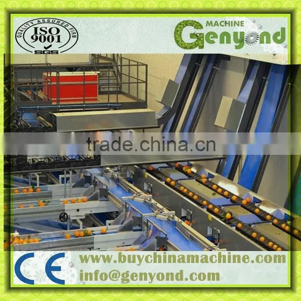 Hydraulic Automatic Loading Electronic Fruit Grading Machine