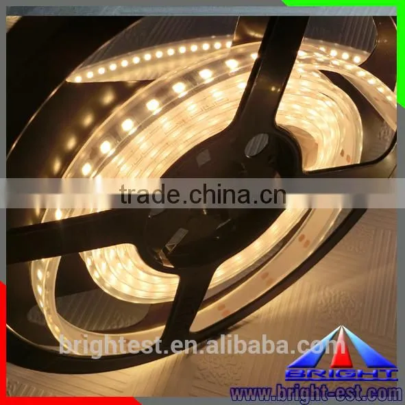 Shenzhen Wholesale LED Flexible Strip IP65 Full Color 5050 12V Led Strip 60 Lights Strips Light photo-6