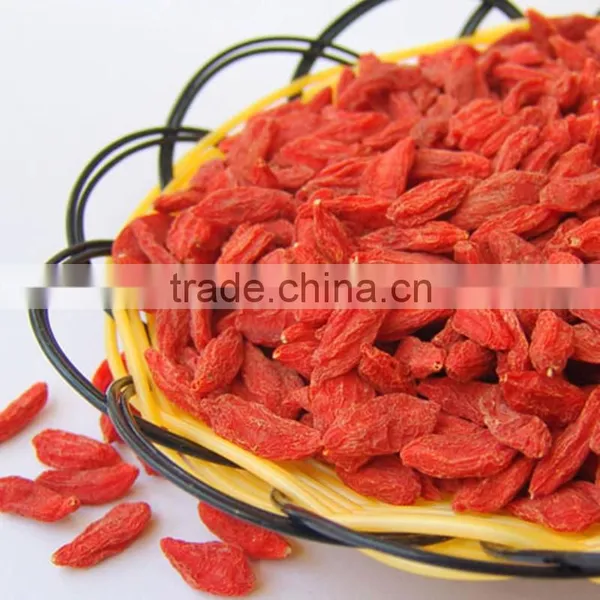 Gojiberry From Our Own Organic Goji Farm