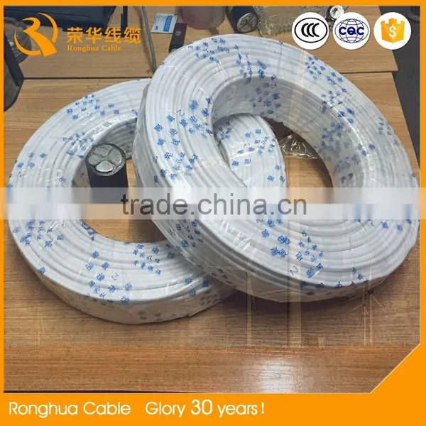 Solid Conductor Type and PVC Insulation Material Electric Wire photo-2
