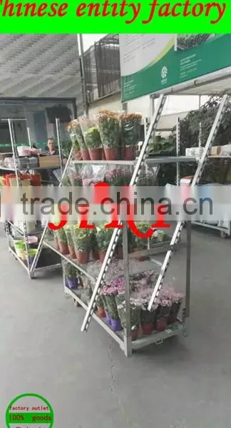 In 2016, the New Hot Sales Display Danish Flower Trolley the Wooden Shelf Danish Cart