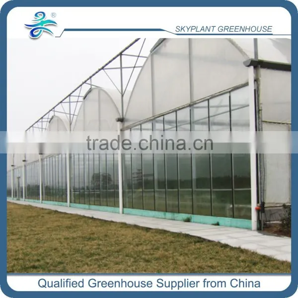 Plastic Film Greenhouse Large for Flowers Vegetables