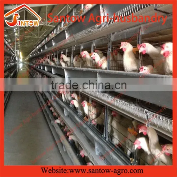Stable Steel Structure Chicken Egg Layer Cage Poultry Farm Construction Design