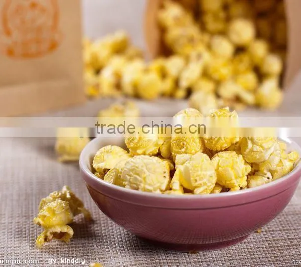 Commercial Popcorn Plant photo-4